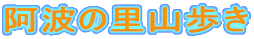 ���g�̗��R����